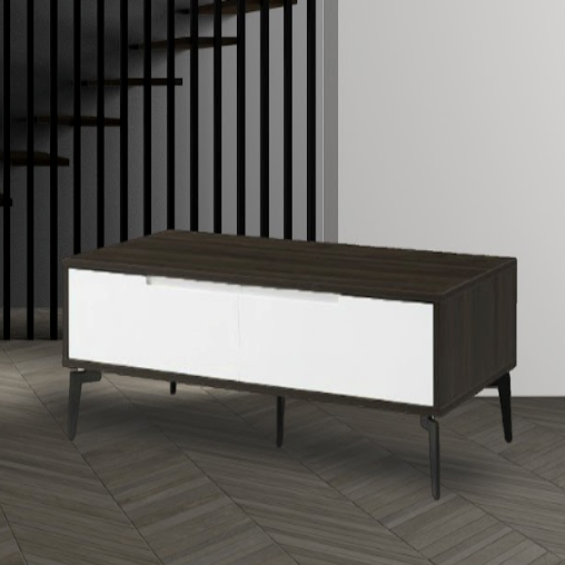RAQUEL Signature Coffee Table Two Drawers/MDF/Steel Legs